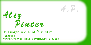 aliz pinter business card